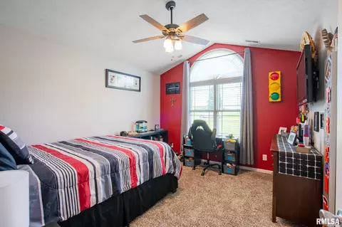 6209 Arbuckle Ln, Marion, IL 62959 photo 20