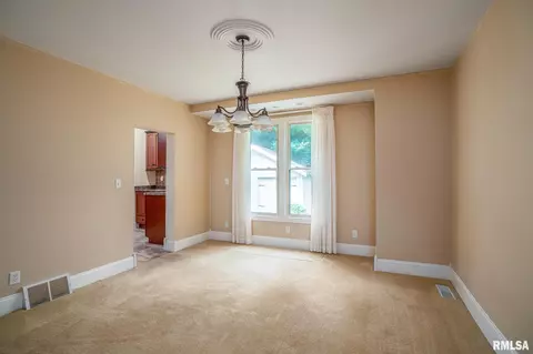 1115 27th St, Moline, IL 61265 photo 11