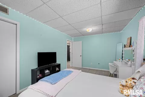 2918 2nd St, Moline, IL 61265 photo 41