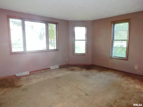 305 N Main St, Chadwick, IL 61014 photo 12