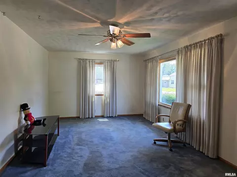 801 14th Ave, Fulton, IL 61252 photo 5