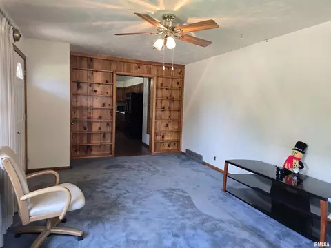 801 14th Ave, Fulton, IL 61252 photo 6