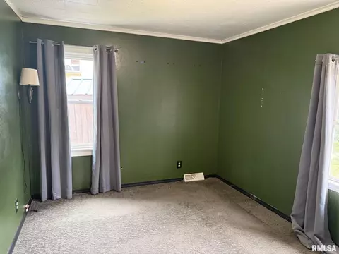 116 NW 3rd St, Galva, IL 61434 photo 17