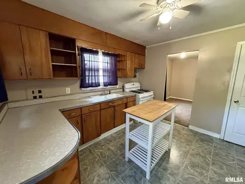 116 NW 3rd St, Galva, IL 61434 photo 5