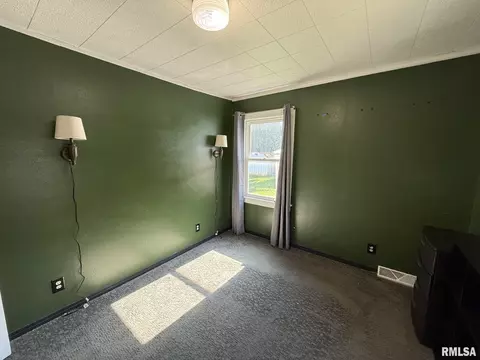116 NW 3rd St, Galva, IL 61434 photo 16
