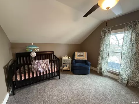 203 W North St, Morrison, IL 61270 photo 12