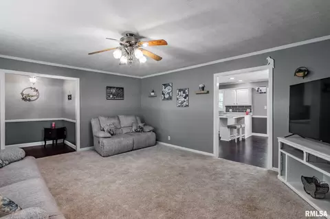 408 W Clark Trl, Herrin, IL 62948 photo 5