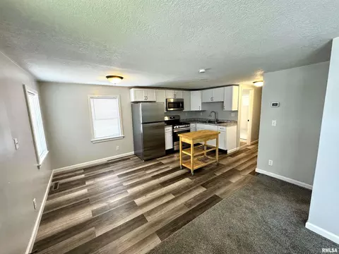 1204 20th Ave, Viola, IL 61486 photo 4