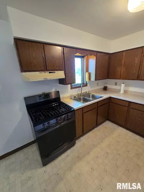 3567 Route 84, Thomson, IL 61285 photo 19