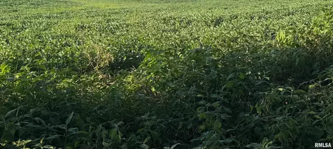 tbd Truax Traer Rd, Elkville, IL 62932