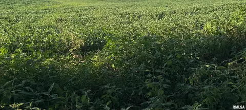 tbd Truax Traer Rd, Elkville, IL 62932