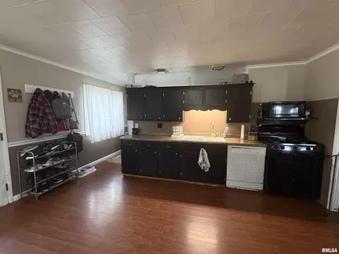 304 9th Ave, Fulton, IL 61252 photo 5