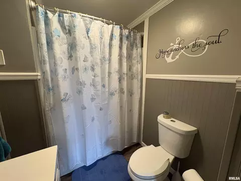 304 9th Ave, Fulton, IL 61252 photo 9