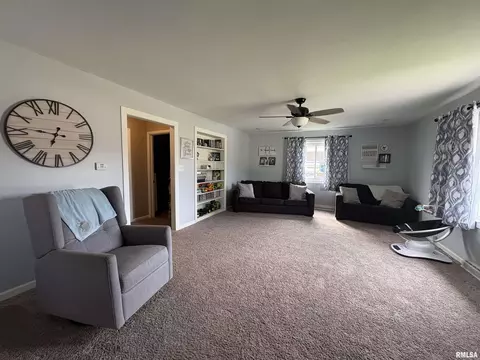 304 9th Ave, Fulton, IL 61252 photo 21