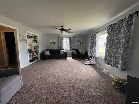 304 9th Ave, Fulton, IL 61252 photo 20