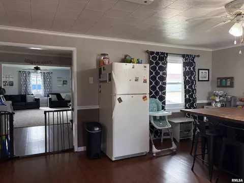 304 9th Ave, Fulton, IL 61252 photo 22