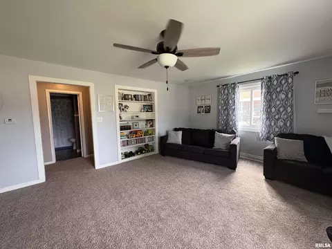 304 9th Ave, Fulton, IL 61252 photo 19