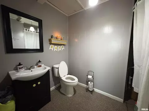 304 9th Ave, Fulton, IL 61252 photo 7