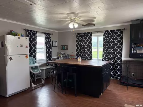 304 9th Ave, Fulton, IL 61252 photo 24