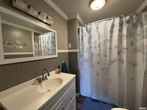 304 9th Ave, Fulton, IL 61252 photo 10