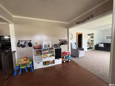 304 9th Ave, Fulton, IL 61252 photo 18