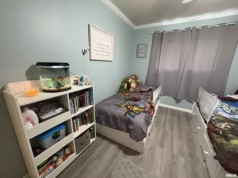 304 9th Ave, Fulton, IL 61252 photo 17