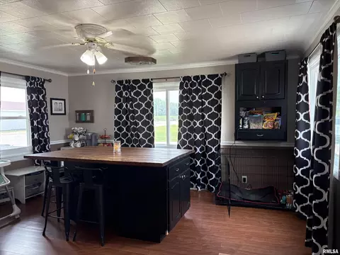 304 9th Ave, Fulton, IL 61252 photo 23