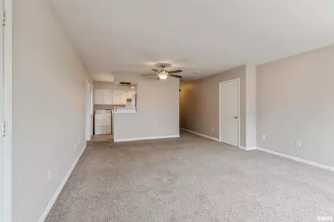 923-925 E 2nd Ave, Milan, IL 61264 photo 4