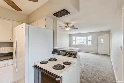 923-925 E 2nd Ave, Milan, IL 61264 photo 9