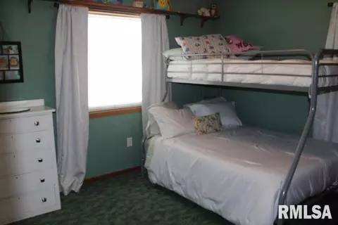315 E Mcclure St, Kewanee, IL 61443 photo 54