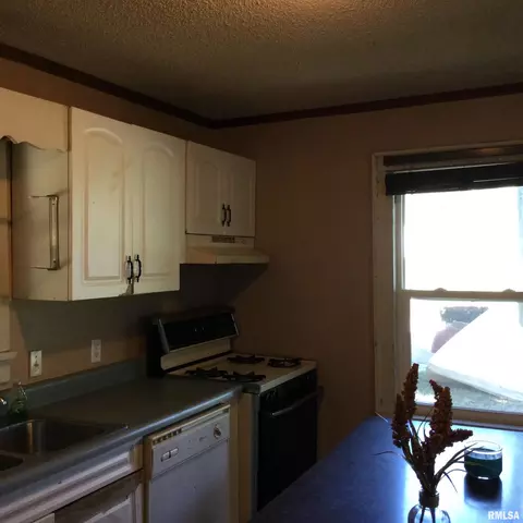 304 Douglas St, Anna, IL 62906 photo 4