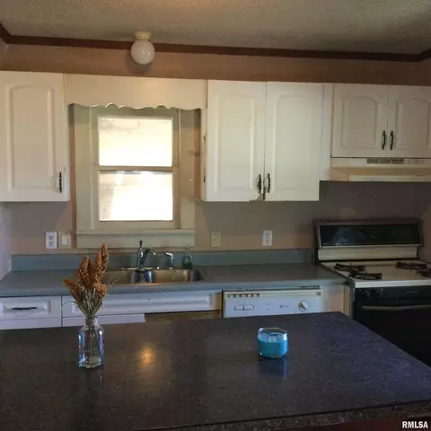 304 Douglas St, Anna, IL 62906 photo 7