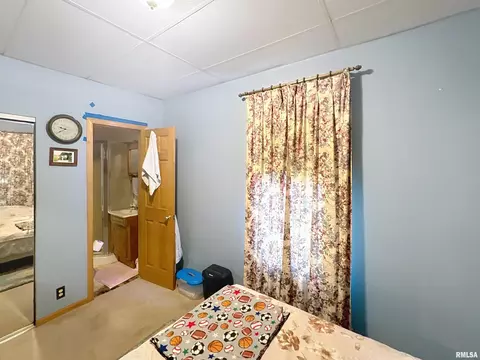 118 7th St, Silvis, IL 61282 photo 12