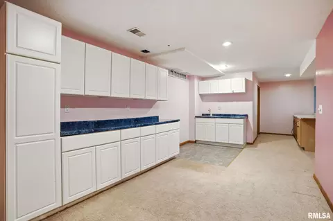 301 E 11th Ave, Coal Valley, IL 61240 photo 29