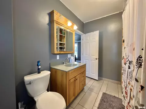 801 16th Ave, Fulton, IL 61252 photo 19