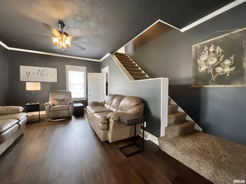 801 16th Ave, Fulton, IL 61252 photo 16