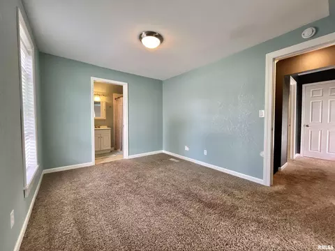 801 16th Ave, Fulton, IL 61252 photo 22