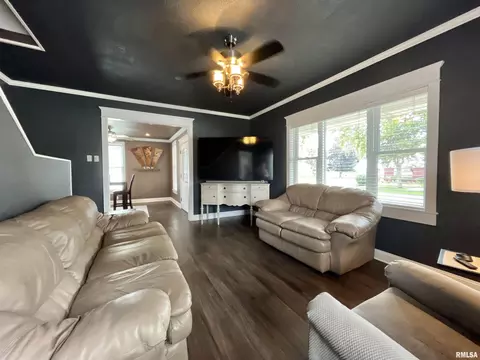 801 16th Ave, Fulton, IL 61252 photo 17