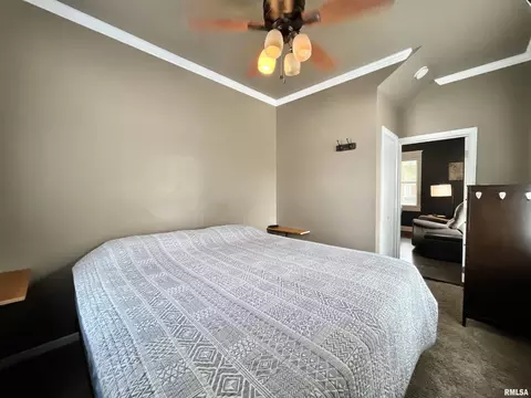 801 16th Ave, Fulton, IL 61252 photo 20