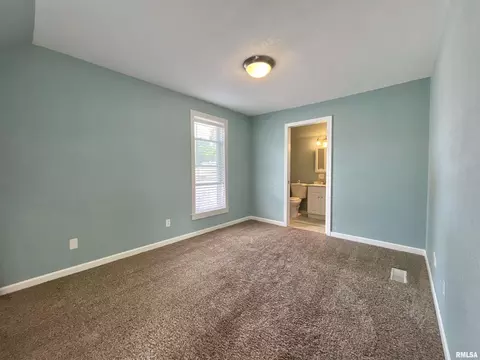 801 16th Ave, Fulton, IL 61252 photo 23