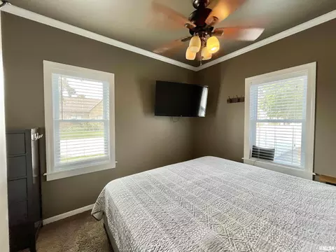 801 16th Ave, Fulton, IL 61252 photo 21