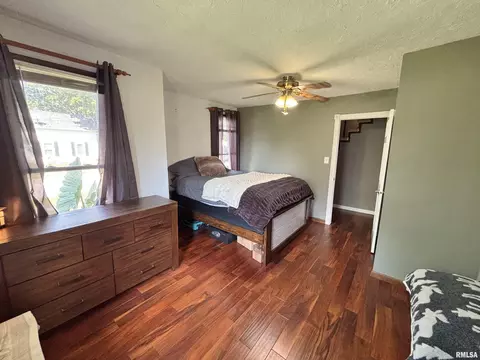 228 E Locust St, Geneseo, IL 61254 photo 17
