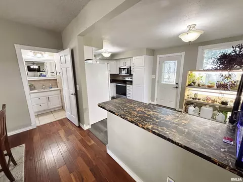 228 E Locust St, Geneseo, IL 61254 photo 9