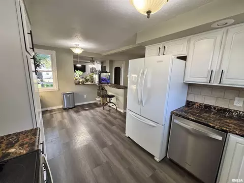 228 E Locust St, Geneseo, IL 61254 photo 14