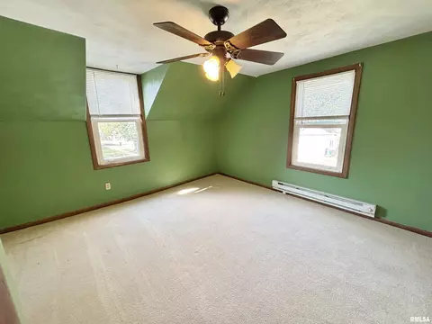 228 E Locust St, Geneseo, IL 61254 photo 21