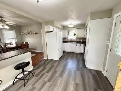 228 E Locust St, Geneseo, IL 61254 photo 13