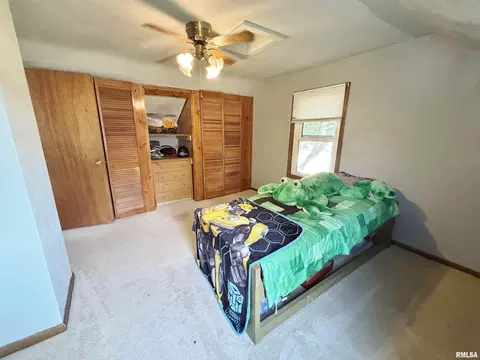 228 E Locust St, Geneseo, IL 61254 photo 20