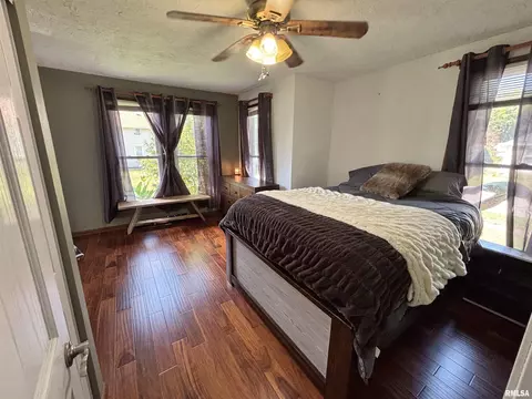 228 E Locust St, Geneseo, IL 61254 photo 16