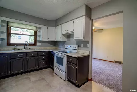 603 2nd Ave, Fulton, IL 61252 photo 6
