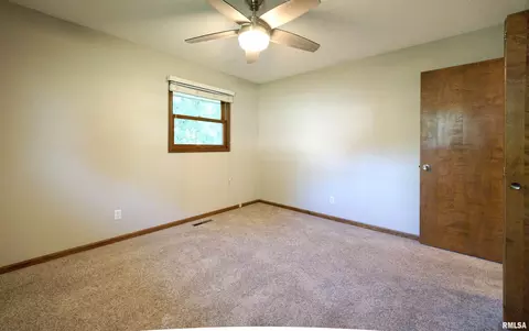 603 2nd Ave, Fulton, IL 61252 photo 16
